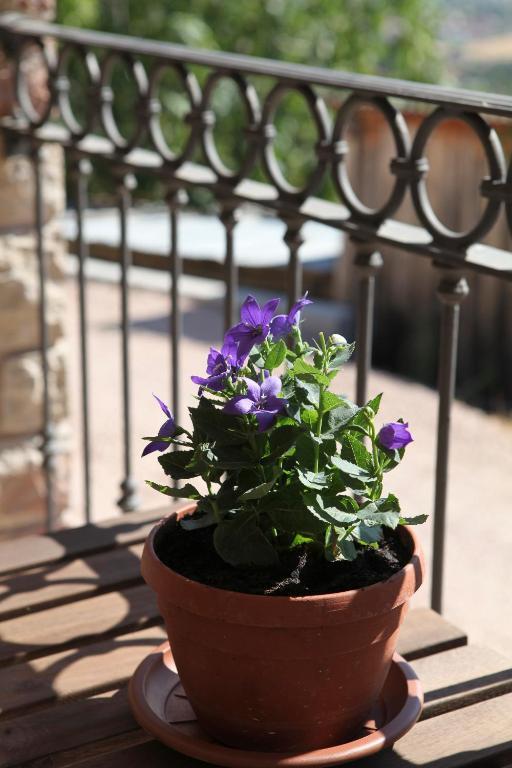 B&B Lavanda E Rosmarino Assisi Exterior photo